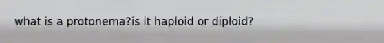 what is a protonema?is it haploid or diploid?