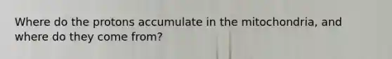 Where do the protons accumulate in the mitochondria, and where do they come from?