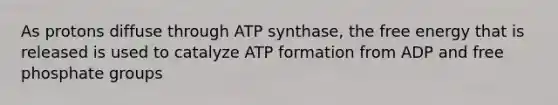 As protons diffuse through ATP synthase, the free energy that is released is used to catalyze ATP formation from ADP and free phosphate groups