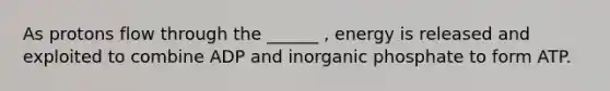 As protons flow through the ______ , energy is released and exploited to combine ADP and inorganic phosphate to form ATP.