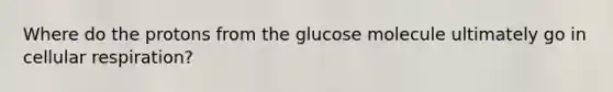 Where do the protons from the glucose molecule ultimately go in cellular respiration?