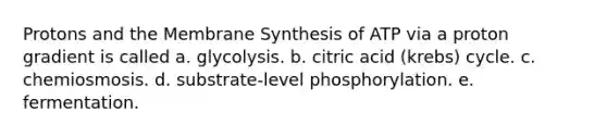 Protons and the Membrane Synthesis of ATP via a proton gradient is called a. glycolysis. b. citric acid (krebs) cycle. c. chemiosmosis. d. substrate-level phosphorylation. e. fermentation.