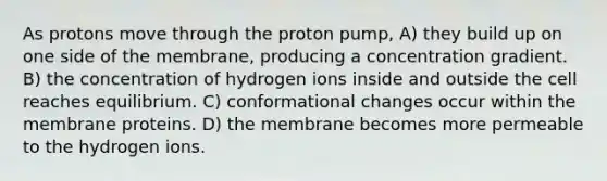 As protons move through the proton pump, A) they build up on one side of the membrane, producing a concentration gradient. B) the concentration of hydrogen ions inside and outside the cell reaches equilibrium. C) conformational changes occur within the membrane proteins. D) the membrane becomes more permeable to the hydrogen ions.