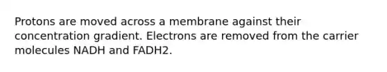 Protons are moved across a membrane against their concentration gradient. Electrons are removed from the carrier molecules NADH and FADH2.