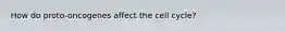 How do proto-oncogenes affect the cell cycle?