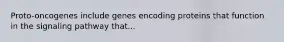 Proto-oncogenes include genes encoding proteins that function in the signaling pathway that...