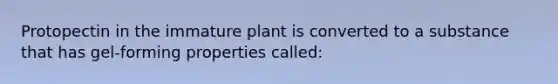 Protopectin in the immature plant is converted to a substance that has gel-forming properties called: