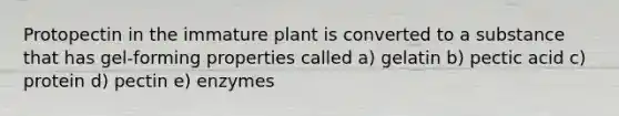 Protopectin in the immature plant is converted to a substance that has gel-forming properties called a) gelatin b) pectic acid c) protein d) pectin e) enzymes