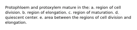 Protophloem and protoxylem mature in the: a. region of cell division. b. region of elongation. c. region of maturation. d. quiescent center. e. area between the regions of cell division and elongation.