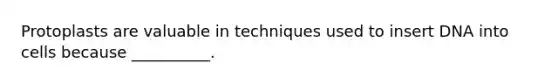 Protoplasts are valuable in techniques used to insert DNA into cells because __________.