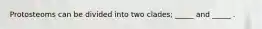 Protosteoms can be divided into two clades; _____ and _____ .