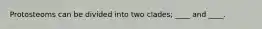 Protosteoms can be divided into two clades; ____ and ____.