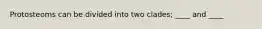 Protosteoms can be divided into two clades; ____ and ____