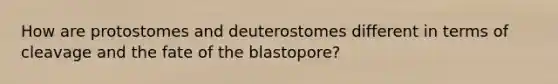 How are protostomes and deuterostomes different in terms of cleavage and the fate of the blastopore?