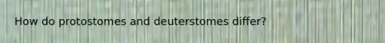 How do protostomes and deuterstomes differ?