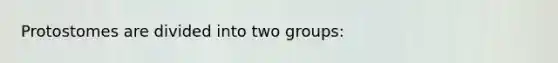 Protostomes are divided into two groups: