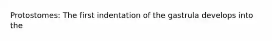 Protostomes: The first indentation of the gastrula develops into the