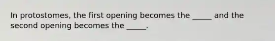 In protostomes, the first opening becomes the _____ and the second opening becomes the _____.