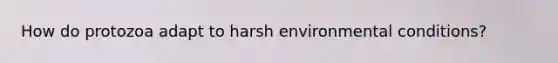 How do protozoa adapt to harsh environmental conditions?