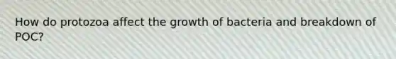 How do protozoa affect the growth of bacteria and breakdown of POC?