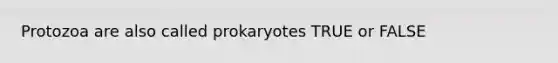 Protozoa are also called prokaryotes TRUE or FALSE