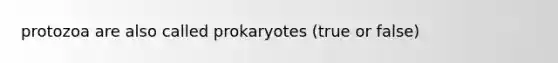 protozoa are also called prokaryotes (true or false)