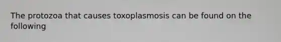 The protozoa that causes toxoplasmosis can be found on the following