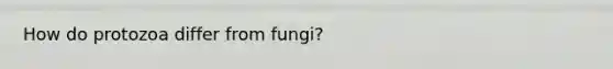 How do protozoa differ from fungi?