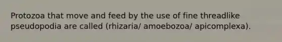 Protozoa that move and feed by the use of fine threadlike pseudopodia are called (rhizaria/ amoebozoa/ apicomplexa).