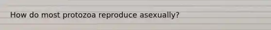 How do most protozoa reproduce asexually?