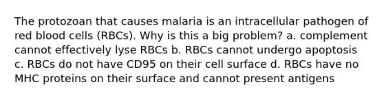 The protozoan that causes malaria is an intracellular pathogen of <a href='https://www.questionai.com/knowledge/kO3ylSXuZ5-red-blood-cells' class='anchor-knowledge'>red blood cells</a> (RBCs). Why is this a big problem? a. complement cannot effectively lyse RBCs b. RBCs cannot undergo apoptosis c. RBCs do not have CD95 on their cell surface d. RBCs have no MHC proteins on their surface and cannot present antigens