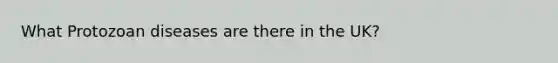 What Protozoan diseases are there in the UK?