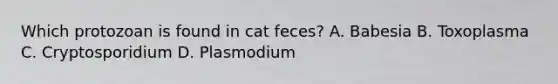 Which protozoan is found in cat feces? A. Babesia B. Toxoplasma C. Cryptosporidium D. Plasmodium