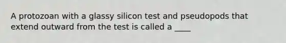 A protozoan with a glassy silicon test and pseudopods that extend outward from the test is called a ____