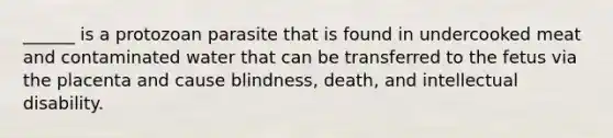 ______ is a protozoan parasite that is found in undercooked meat and contaminated water that can be transferred to the fetus via the placenta and cause blindness, death, and intellectual disability.