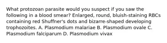 What protozoan parasite would you suspect if you saw the following in a blood smear? Enlarged, round, bluish-staining RBCs containing red Shuffner's dots and bizarre-shaped developing trophozoites. A. Plasmodium malariae B. Plasmodium ovale C. Plasmodium falciparum D. Plasmodium vivax