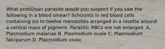 What protozoan parasite would you suspect if you saw the following in a blood smear? Schizonts in red blood cells containing six to twelve merozoites arranged in a rosette around a central mass of pigment. Parasitic RBCs are not enlarged. A. Plasmodium malariae B. Plasmodium ovale C. Plasmodium falciparum D. Plasmodium vivax