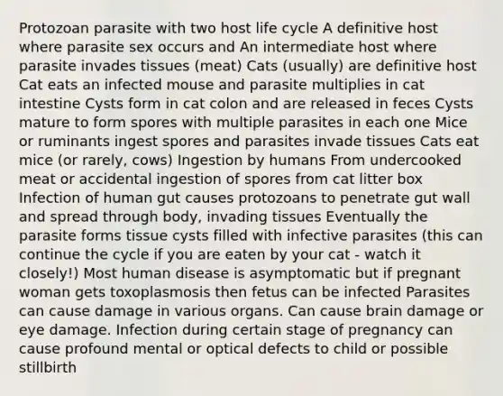 Protozoan parasite with two host life cycle A definitive host where parasite sex occurs and An intermediate host where parasite invades tissues (meat) Cats (usually) are definitive host Cat eats an infected mouse and parasite multiplies in cat intestine Cysts form in cat colon and are released in feces Cysts mature to form spores with multiple parasites in each one Mice or ruminants ingest spores and parasites invade tissues Cats eat mice (or rarely, cows) Ingestion by humans From undercooked meat or accidental ingestion of spores from cat litter box Infection of human gut causes protozoans to penetrate gut wall and spread through body, invading tissues Eventually the parasite forms tissue cysts filled with infective parasites (this can continue the cycle if you are eaten by your cat - watch it closely!) Most human disease is asymptomatic but if pregnant woman gets toxoplasmosis then fetus can be infected Parasites can cause damage in various organs. Can cause brain damage or eye damage. Infection during certain stage of pregnancy can cause profound mental or optical defects to child or possible stillbirth