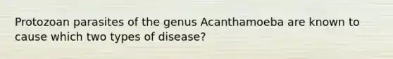 Protozoan parasites of the genus Acanthamoeba are known to cause which two types of disease?