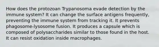 How does the protozoan Trypanosoma evade detection by the immune system? It can change the surface antigens frequently, preventing the immune system from tracking it. It prevents phagosome-lysosome fusion. It produces a capsule which is composed of polysaccharides similar to those found in the host. It can resist oxidation inside macrophages.