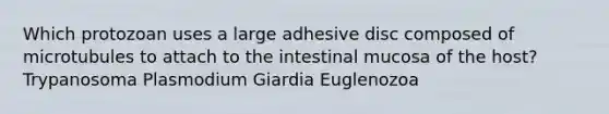 Which protozoan uses a large adhesive disc composed of microtubules to attach to the intestinal mucosa of the host? Trypanosoma Plasmodium Giardia Euglenozoa