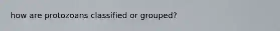 how are protozoans classified or grouped?