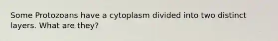 Some Protozoans have a cytoplasm divided into two distinct layers. What are they?