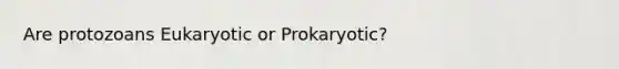 Are protozoans Eukaryotic or Prokaryotic?