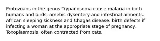 Protozoans in the genus Trypanosoma cause malaria in both humans and birds. amebic dysentery and intestinal ailments. African sleeping sickness and Chagas disease. birth defects if infecting a woman at the appropriate stage of pregnancy. Toxoplasmosis, often contracted from cats.