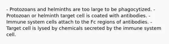 - Protozoans and helminths are too large to be phagocytized. - Protozoan or helminth target cell is coated with antibodies. - Immune system cells attach to the Fc regions of antibodies. - Target cell is lysed by chemicals secreted by the immune system cell.