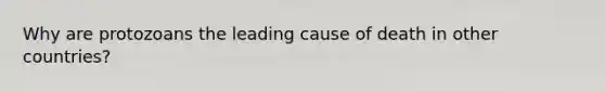 Why are protozoans the leading cause of death in other countries?