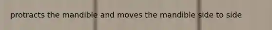 protracts the mandible and moves the mandible side to side