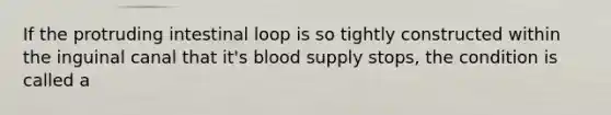 If the protruding intestinal loop is so tightly constructed within the inguinal canal that it's blood supply stops, the condition is called a