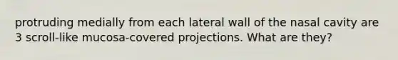 protruding medially from each lateral wall of the nasal cavity are 3 scroll-like mucosa-covered projections. What are they?